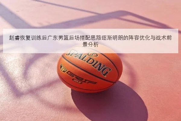 赵睿恢复训练后广东男篮后场搭配思路逐渐明朗的阵容优化与战术前景分析
