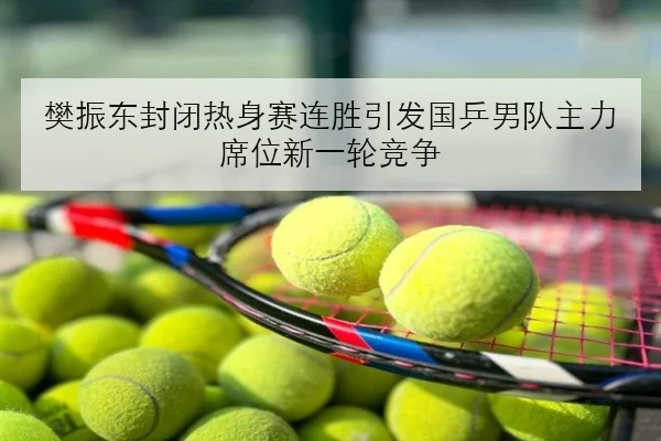 樊振东封闭热身赛连胜引发国乒男队主力席位新一轮竞争